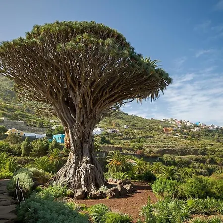 Appartement Precioso Apto Caleta Interian By Paramount Holidays