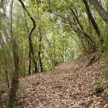 Appartement Precioso Apto Caleta Interian By Paramount Holidays *